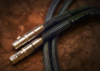 emotion analog speaker cable