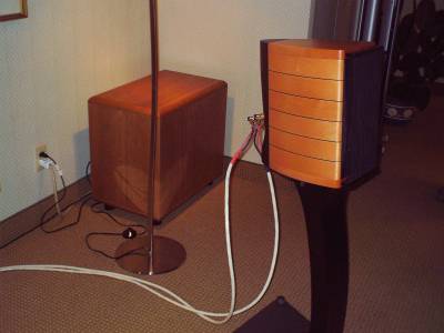 #28, Sonus Faber and REL.jpg (14715 bytes)