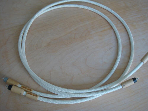 actinote aria cables