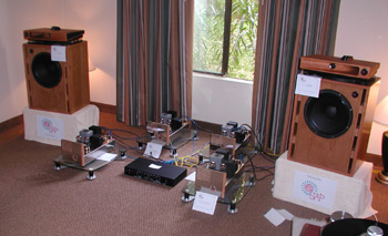 ces3.jpg (28915 bytes)