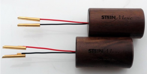 stein speaker matcg