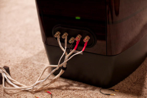 ASR Basis Exclusive Phono Equalizer