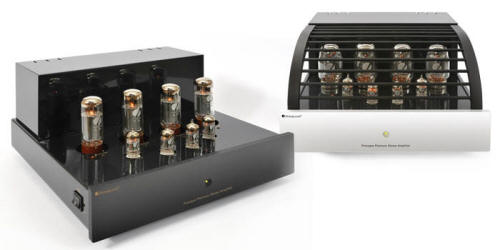primaluna premium amplifer