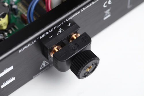 auralic merak