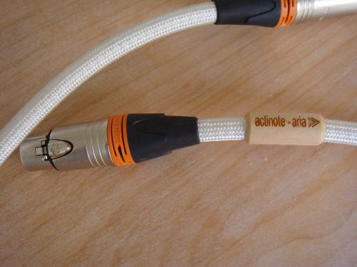 actinote aria cables